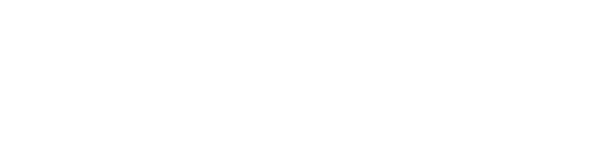 Critical Storage Solutions